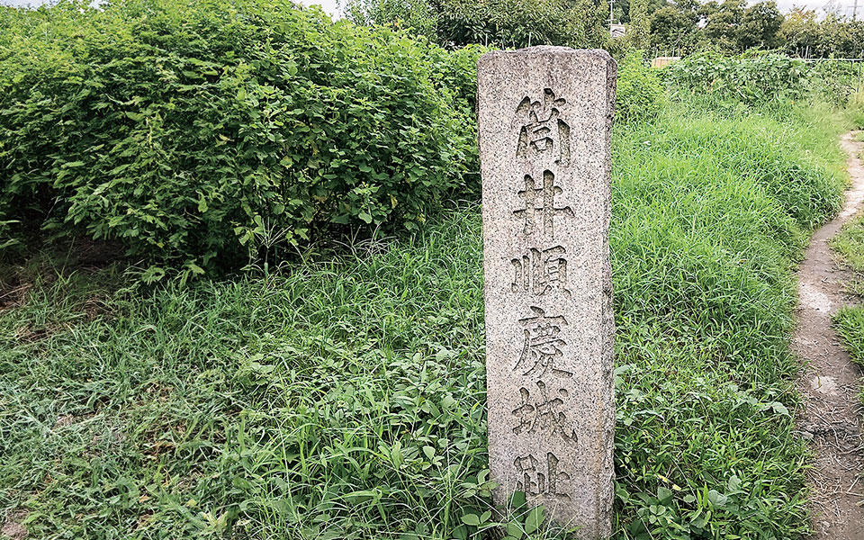 筒井城跡