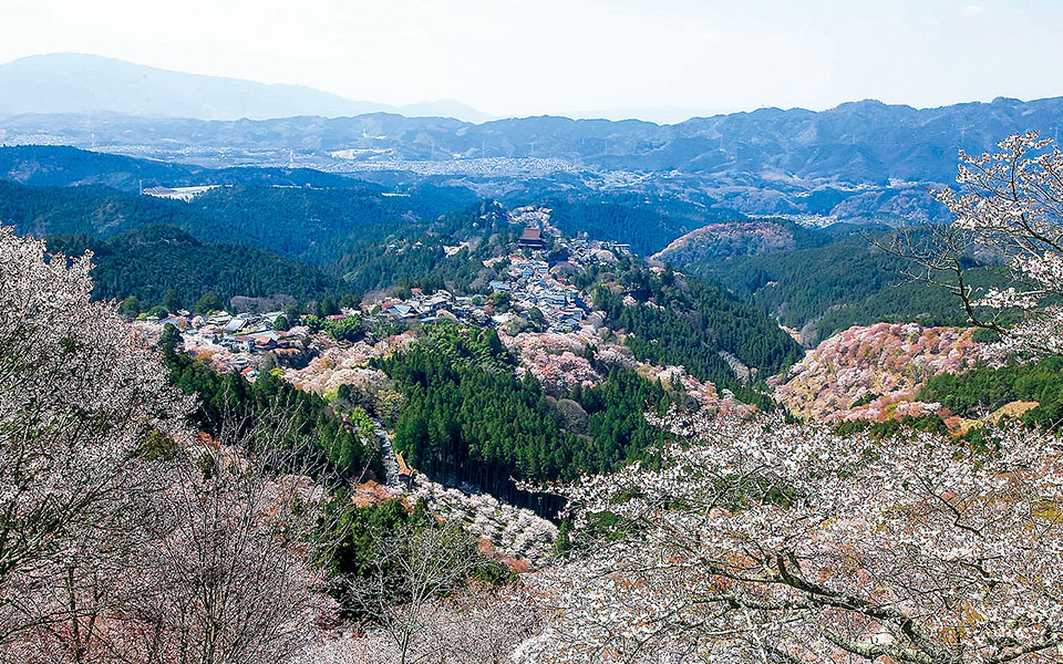 吉野山